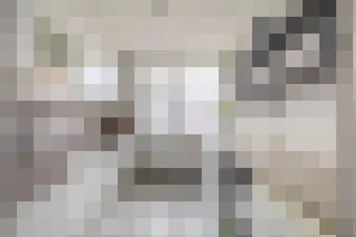 Doetinchemsestraat 41 Middelharnis thumbnail 4