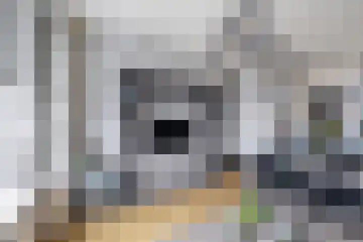 Doetinchemsestraat 41 Middelharnis thumbnail 7
