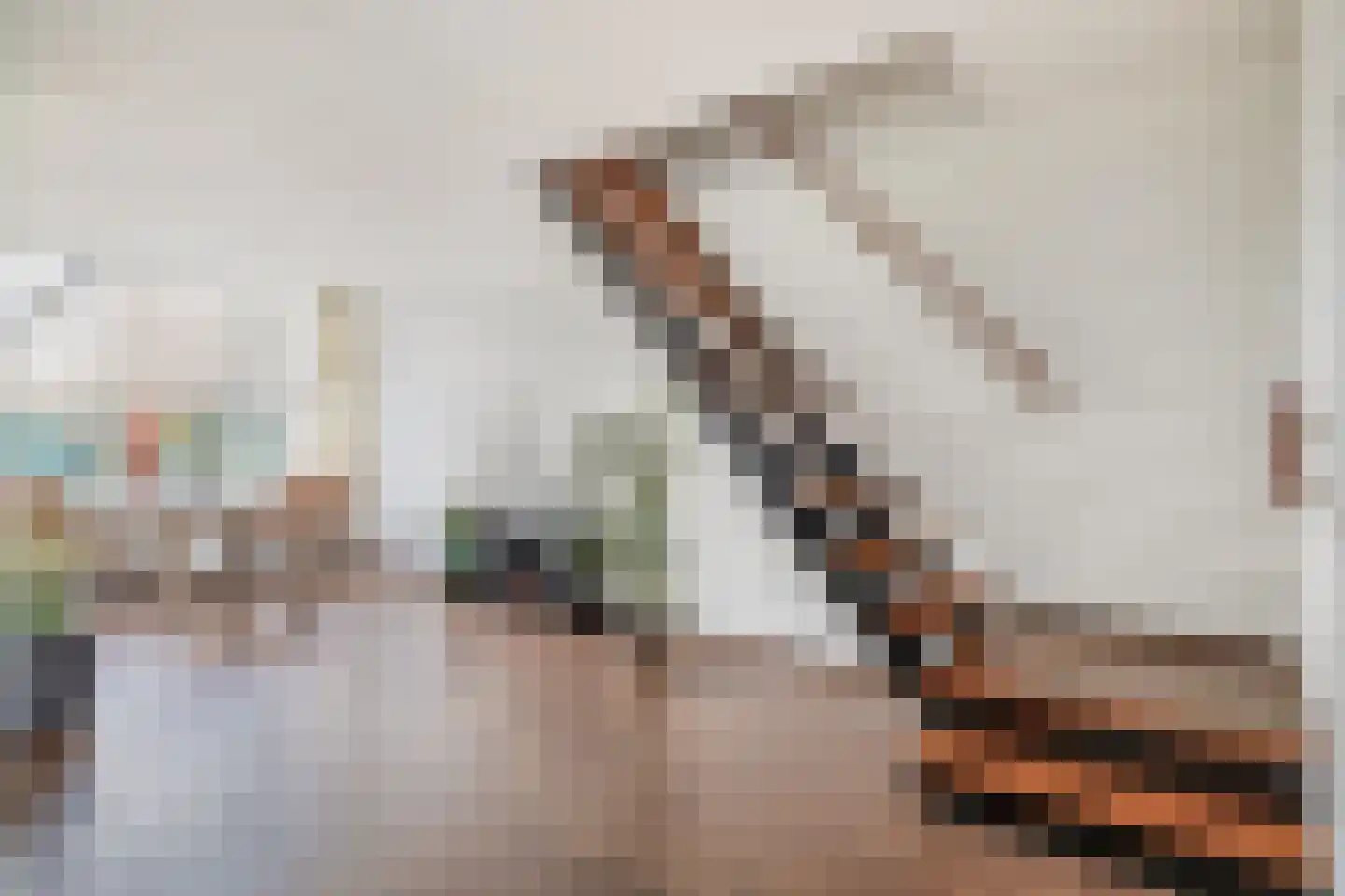 Doetinchemsestraat 62 Middelharnis thumbnail 12