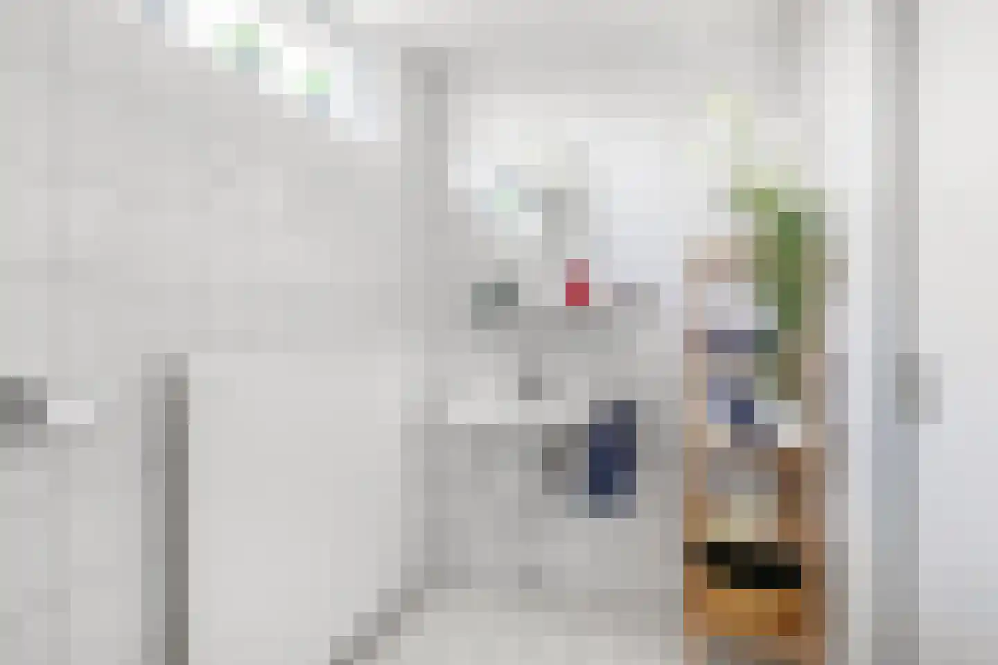 Doetinchemsestraat 62 Middelharnis thumbnail 18