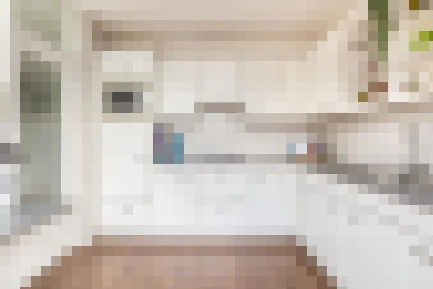Doetinchemsestraat 62 Middelharnis thumbnail 4