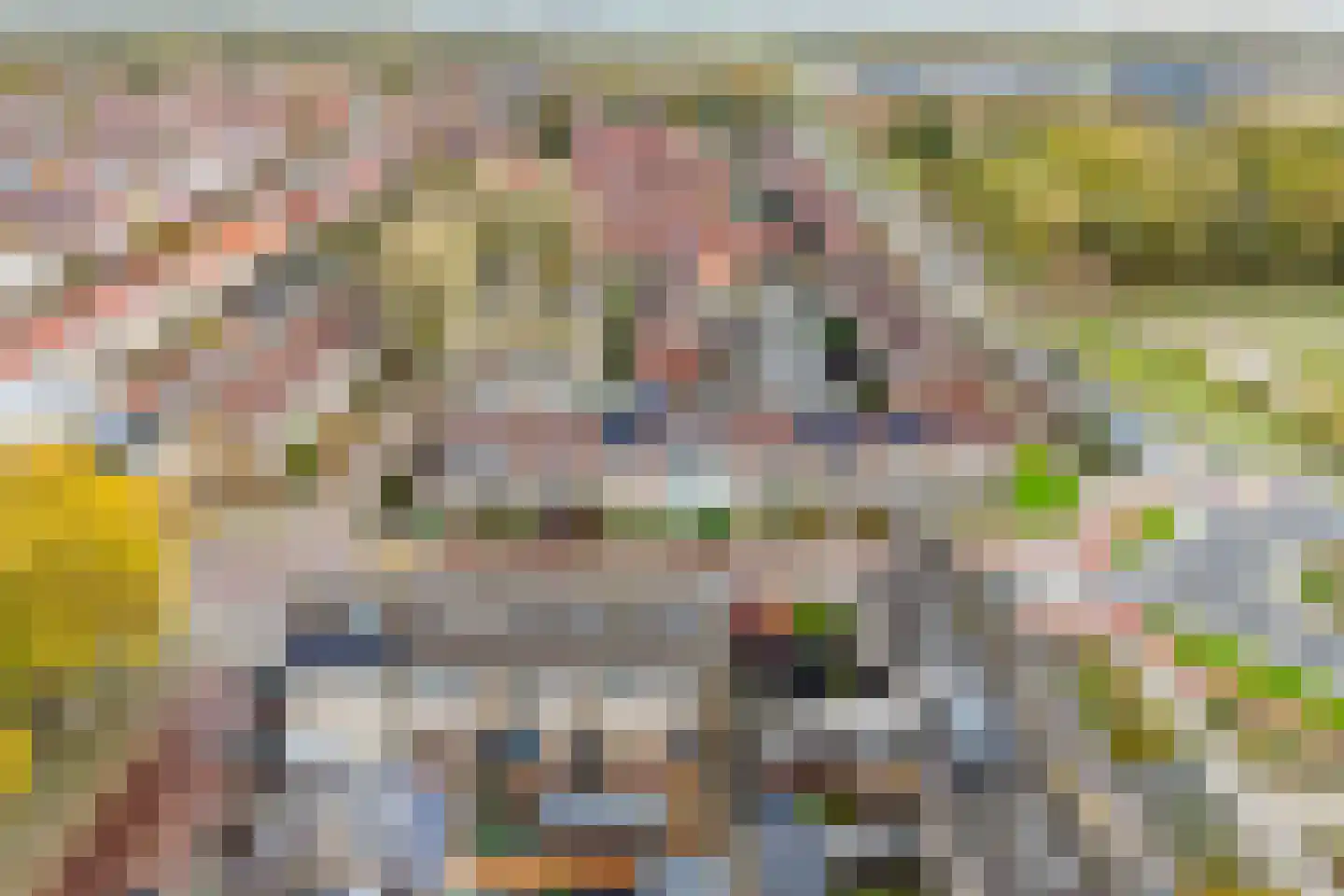 Doetinchemsestraat 64 Middelharnis thumbnail 30