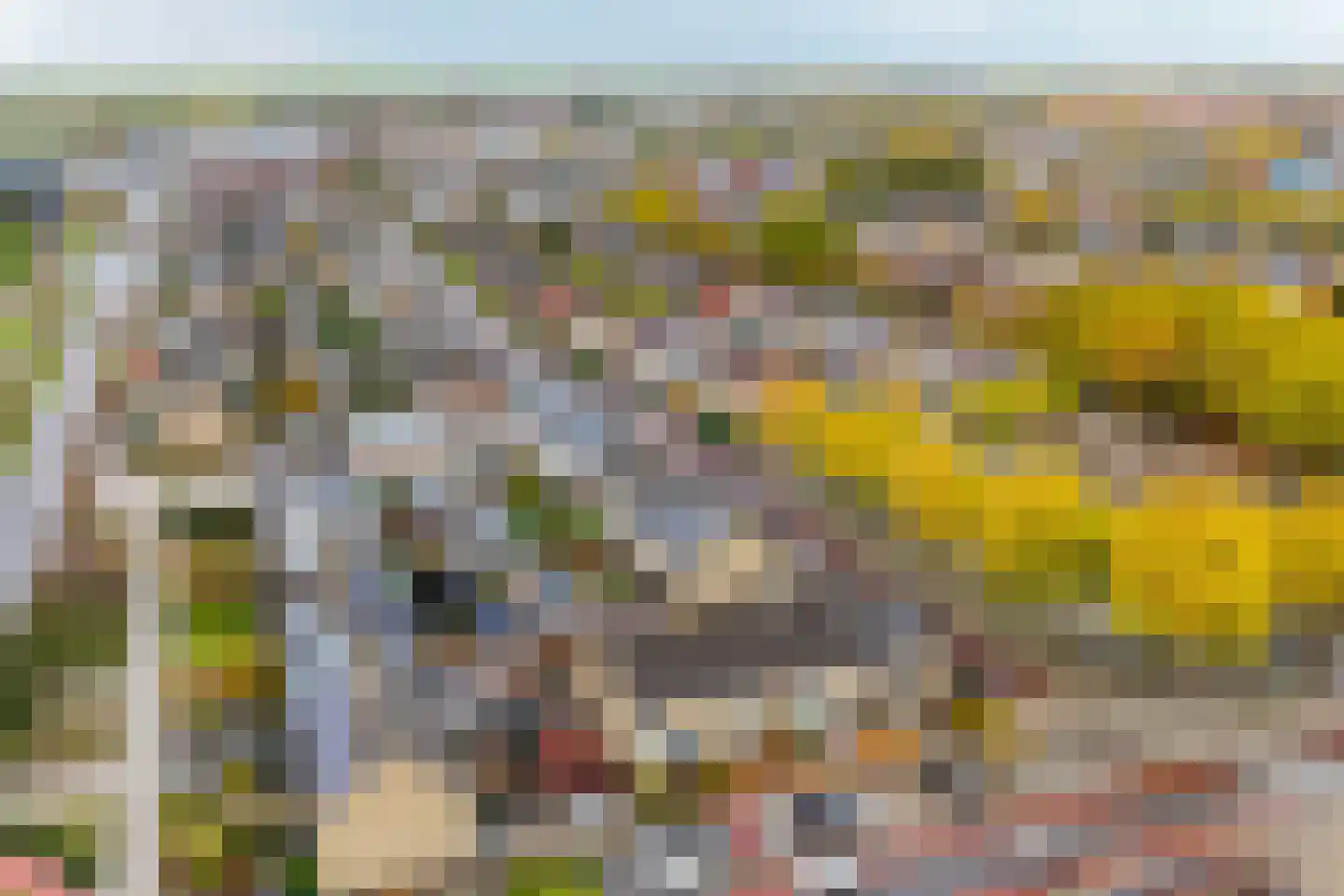 Doetinchemsestraat 64 Middelharnis thumbnail 31