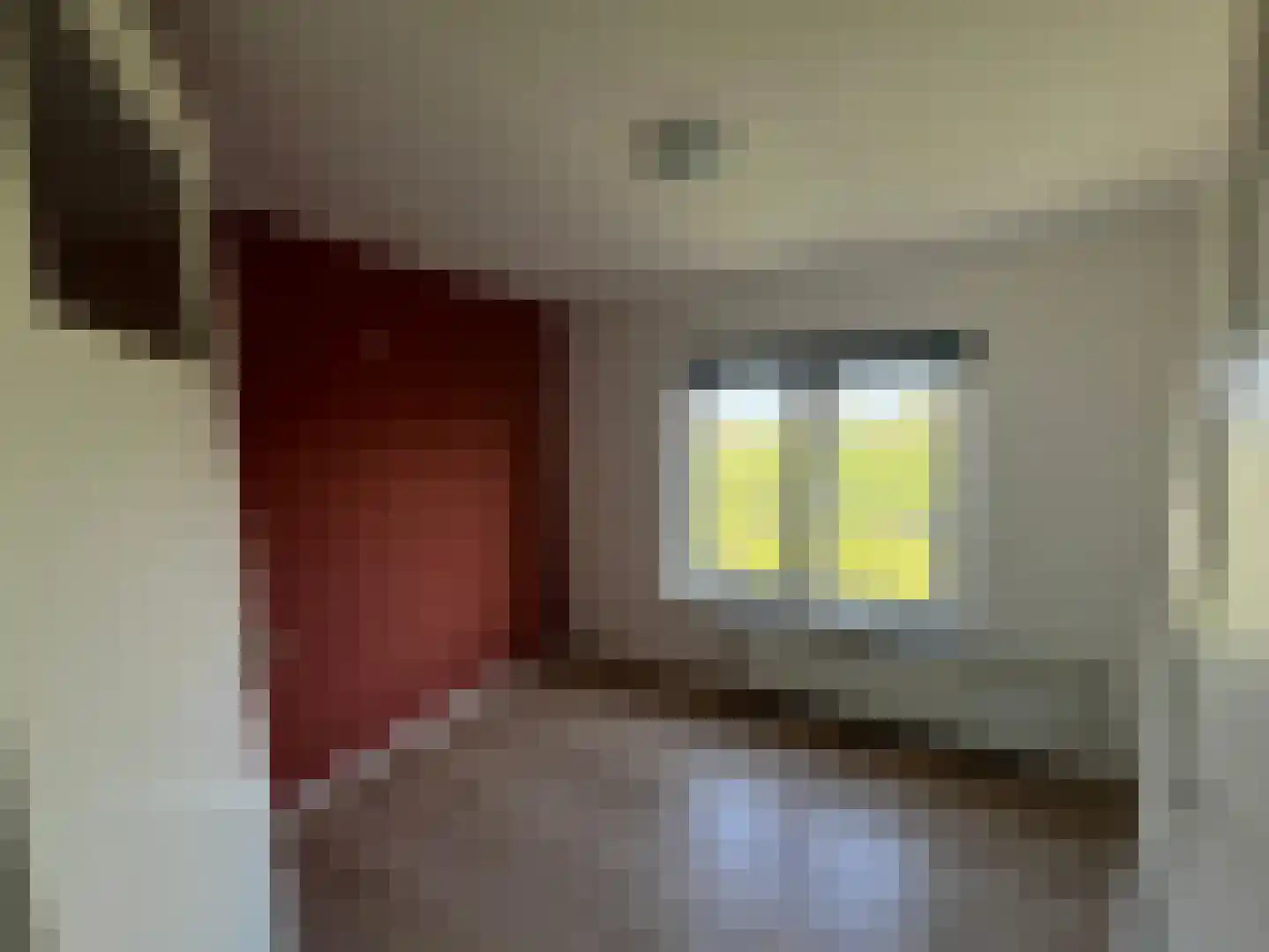Doetinchemseweg 140 Westendorp thumbnail 11
