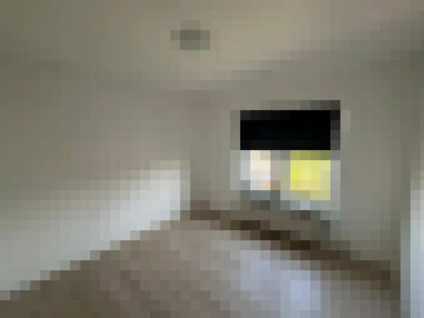 Doetinchemseweg 140 Westendorp thumbnail 12