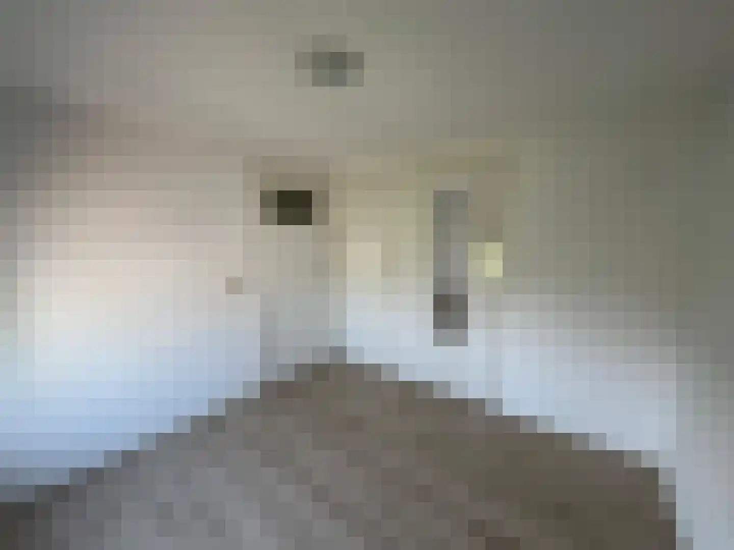 Doetinchemseweg 140 Westendorp thumbnail 13