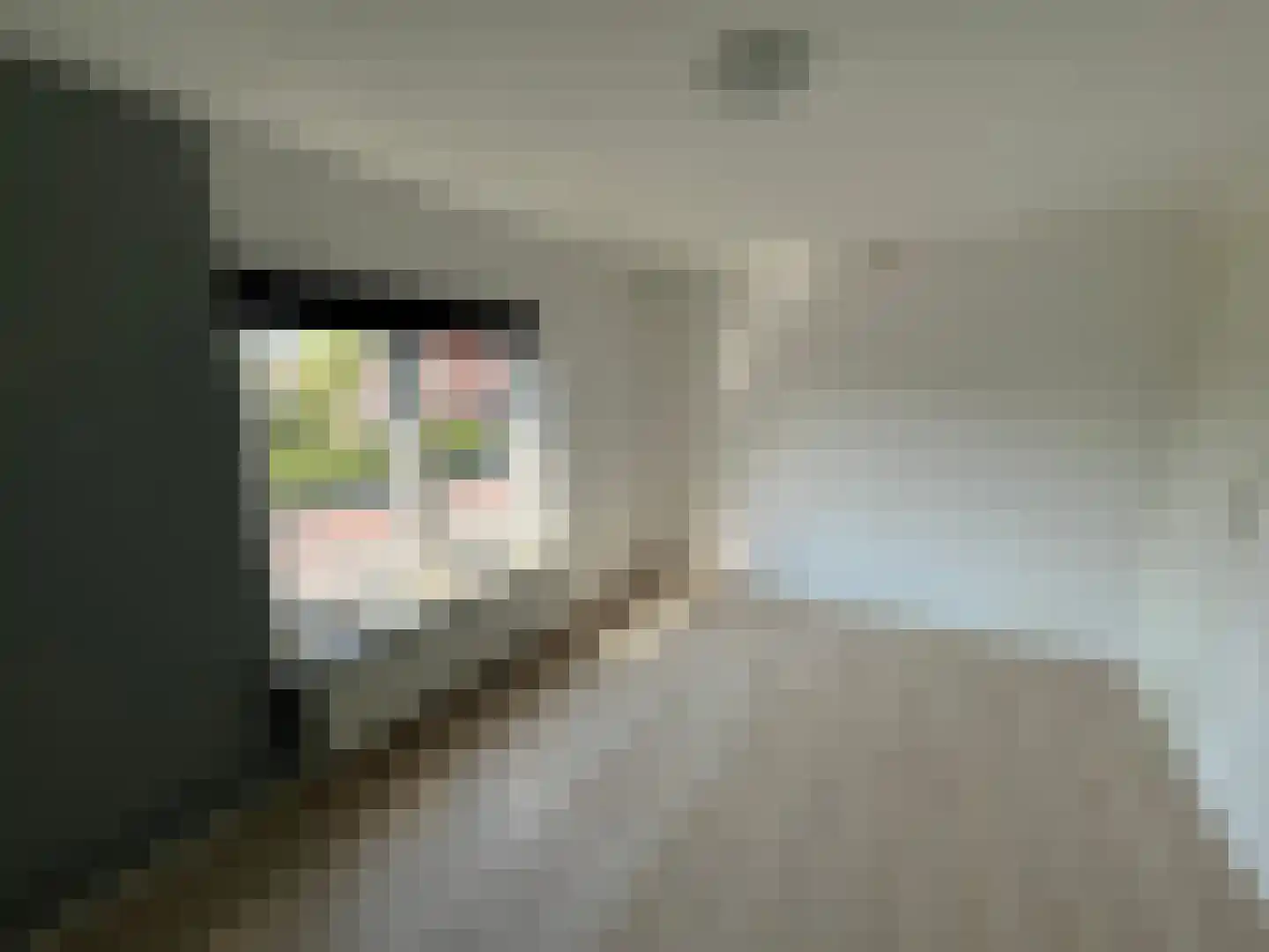 Doetinchemseweg 140 Westendorp thumbnail 15