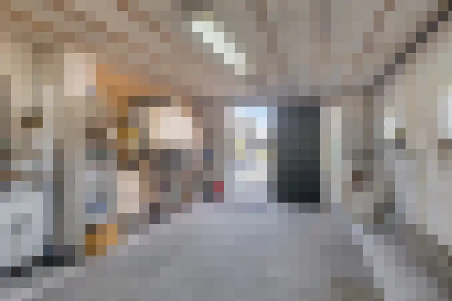 Doetinchemseweg 219 Westendorp thumbnail 33