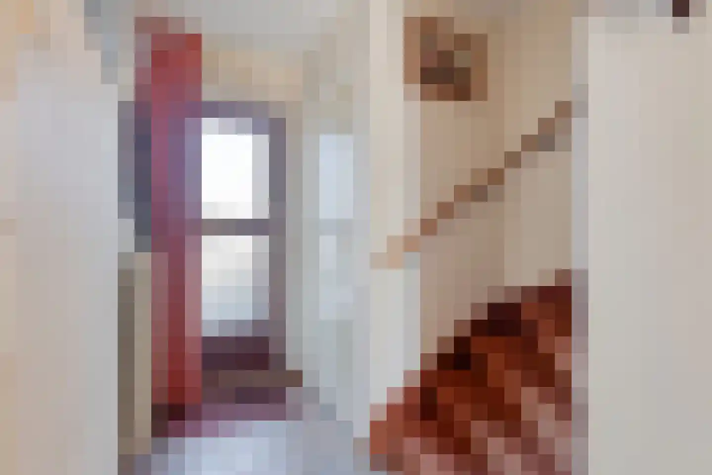 Doetinchemseweg 219 Westendorp thumbnail 7