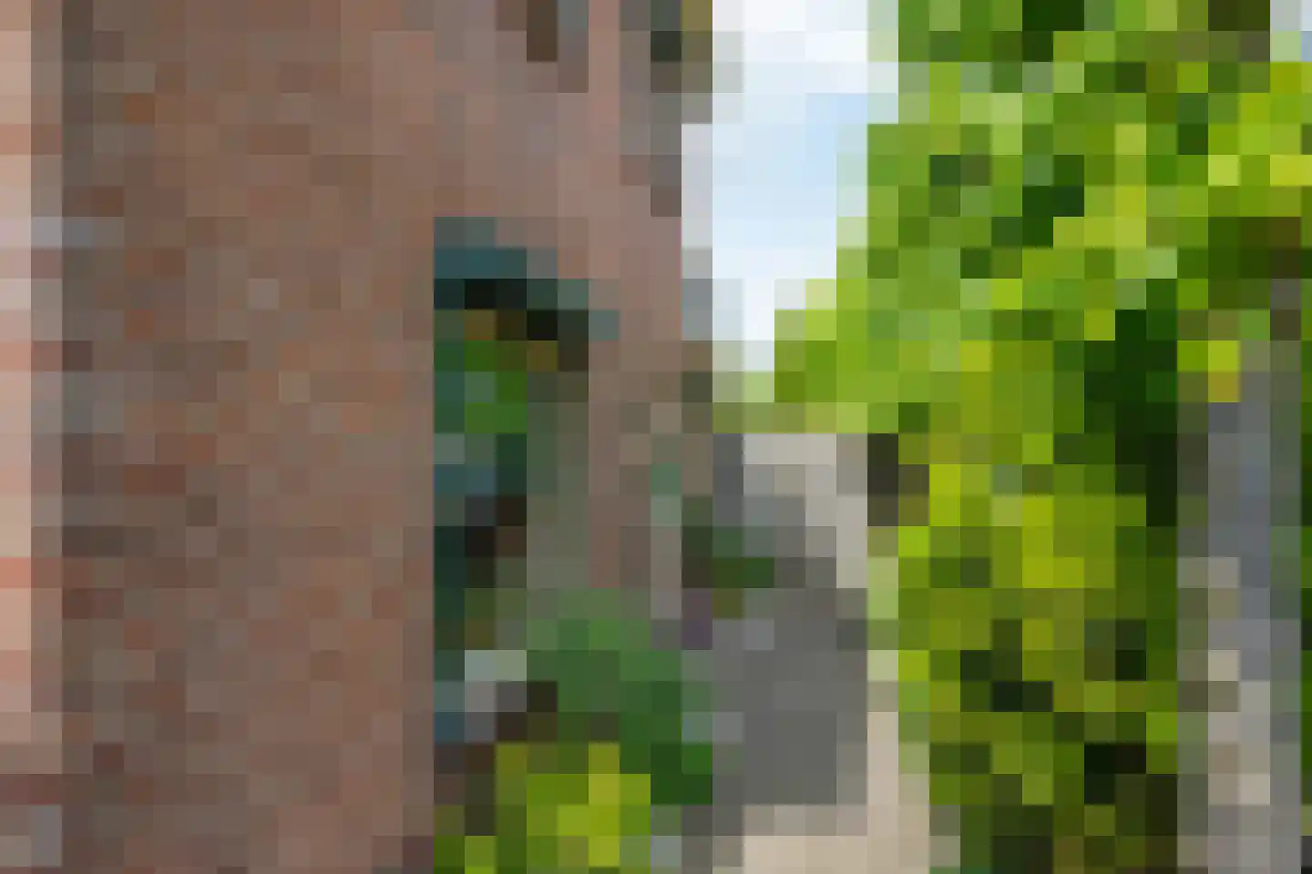 Doetinchemseweg 32 Varsseveld thumbnail 10