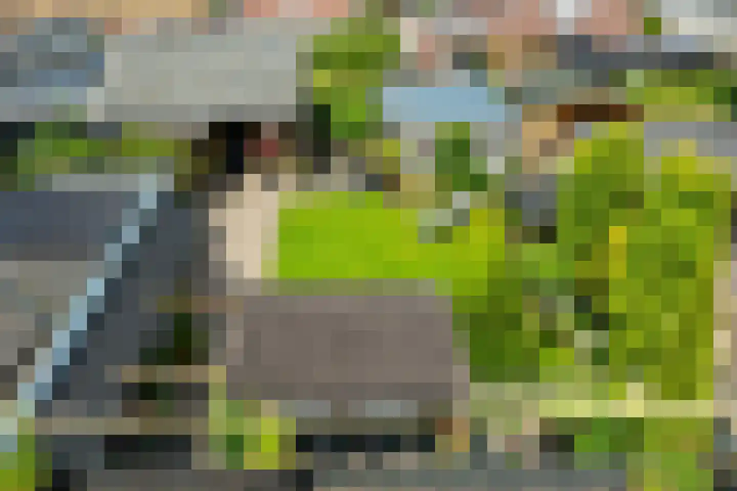 Doetinchemseweg 32 Varsseveld thumbnail 37