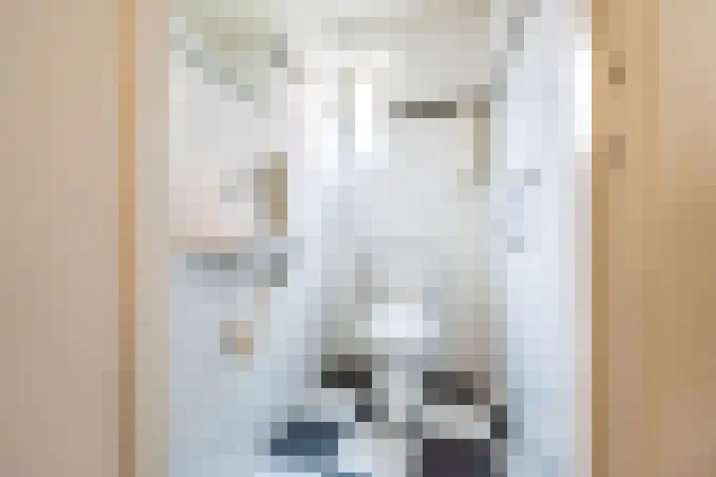 Doetinchemseweg 33 Terborg thumbnail 15