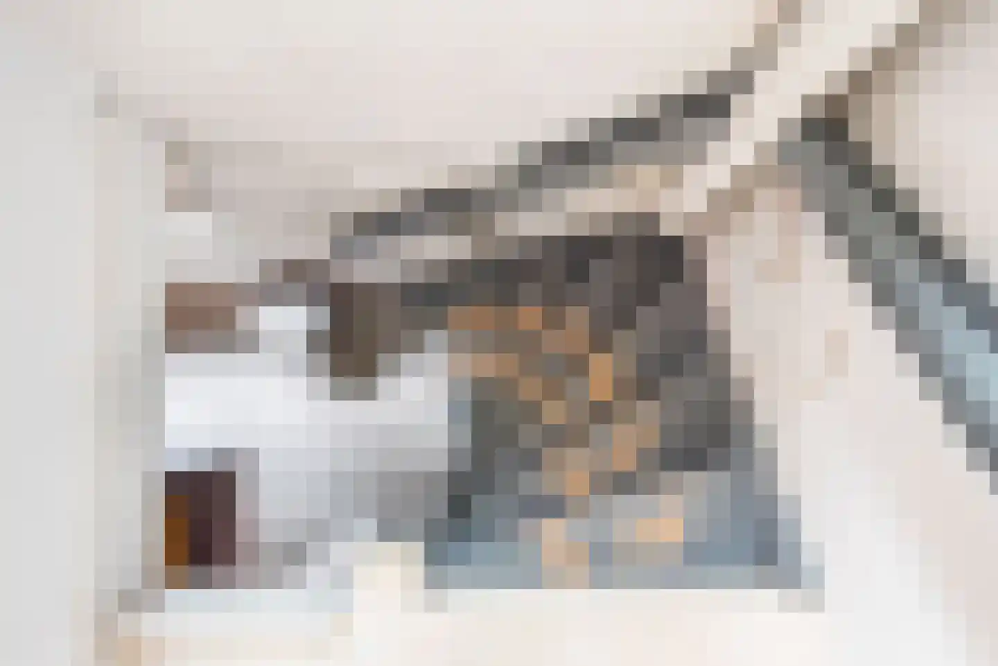 Doetinchemseweg 33 Terborg thumbnail 32