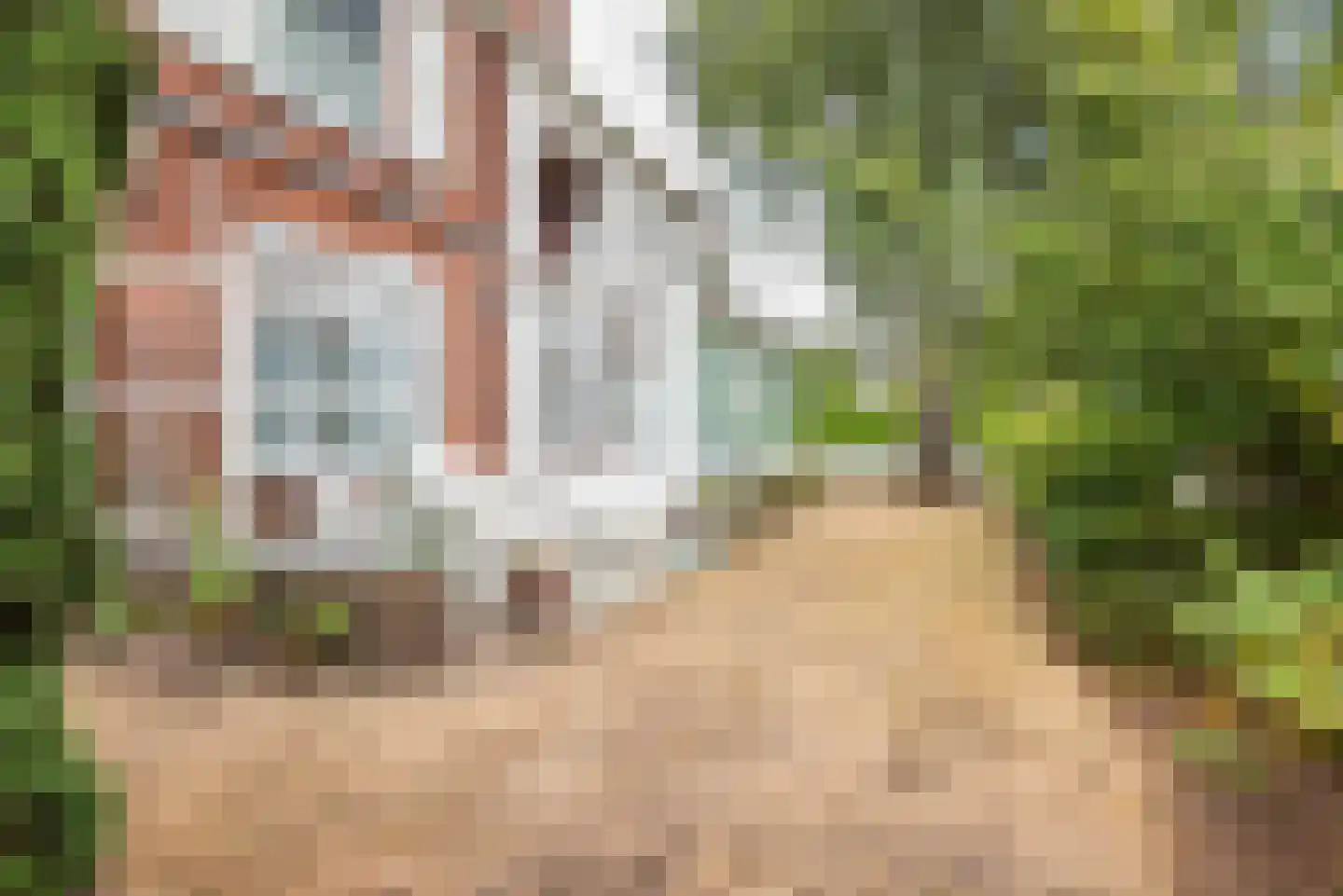 Doetinchemseweg 33 Terborg thumbnail 4