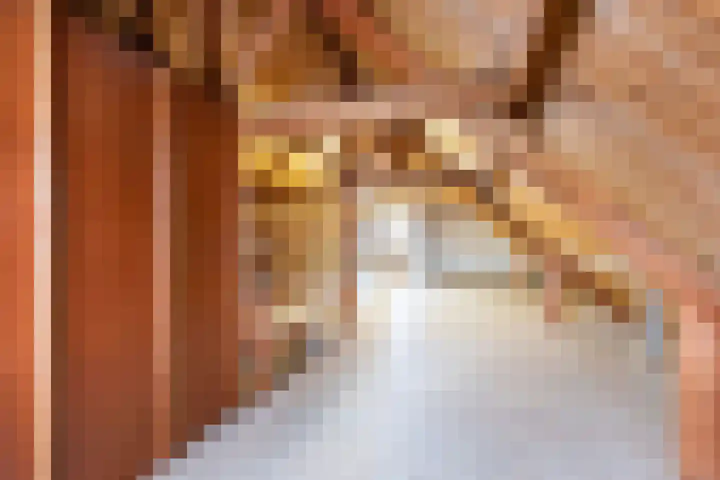 Doetinchemseweg 33 Terborg thumbnail 58
