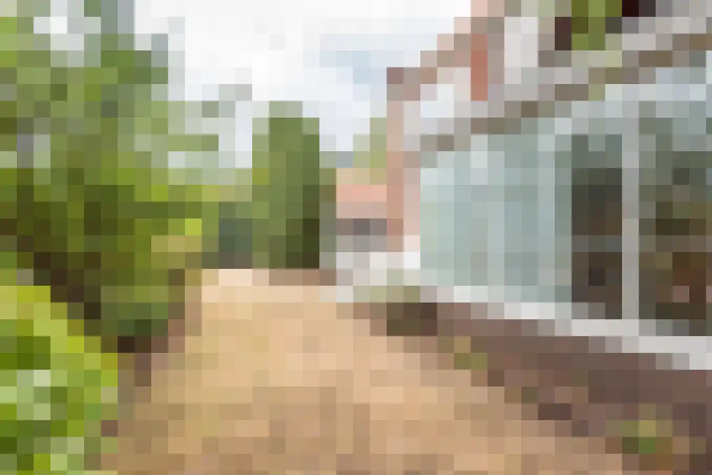 Doetinchemseweg 33 Terborg thumbnail 66