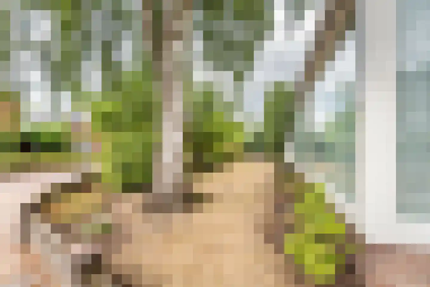Doetinchemseweg 33 Terborg thumbnail 67