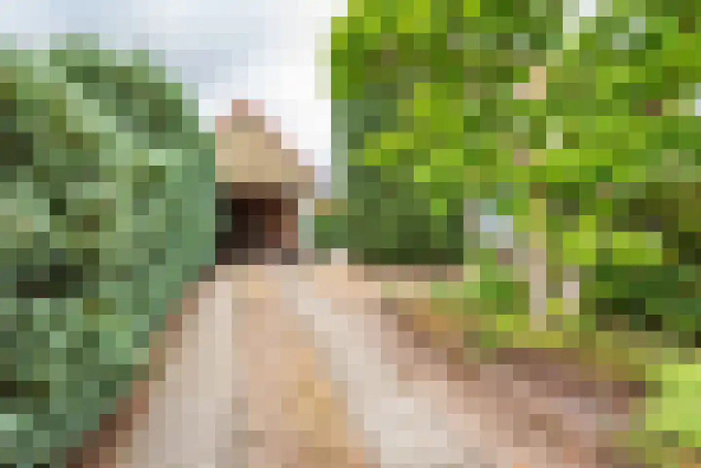 Doetinchemseweg 33 Terborg thumbnail 68