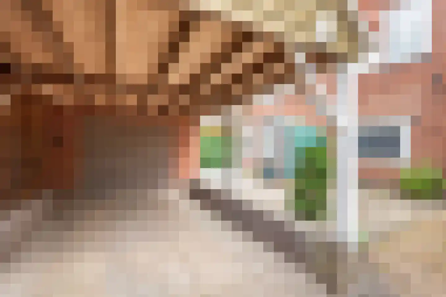 Doetinchemseweg 33 Terborg thumbnail 69