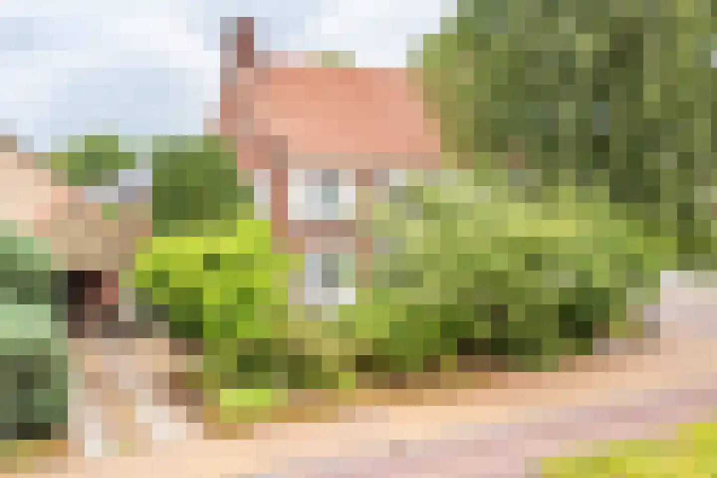 Doetinchemseweg 33 Terborg thumbnail 7