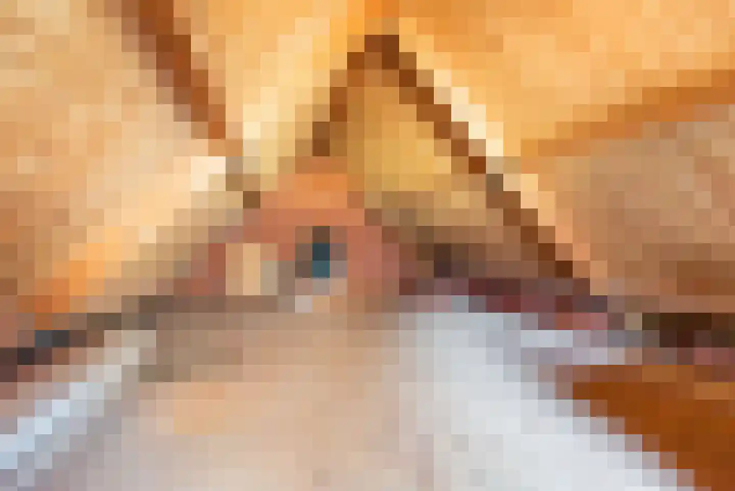 Doetinchemseweg 33 Terborg thumbnail 71
