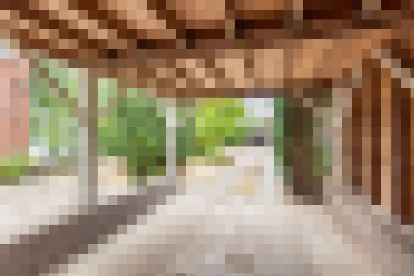 Doetinchemseweg 33 Terborg thumbnail 72