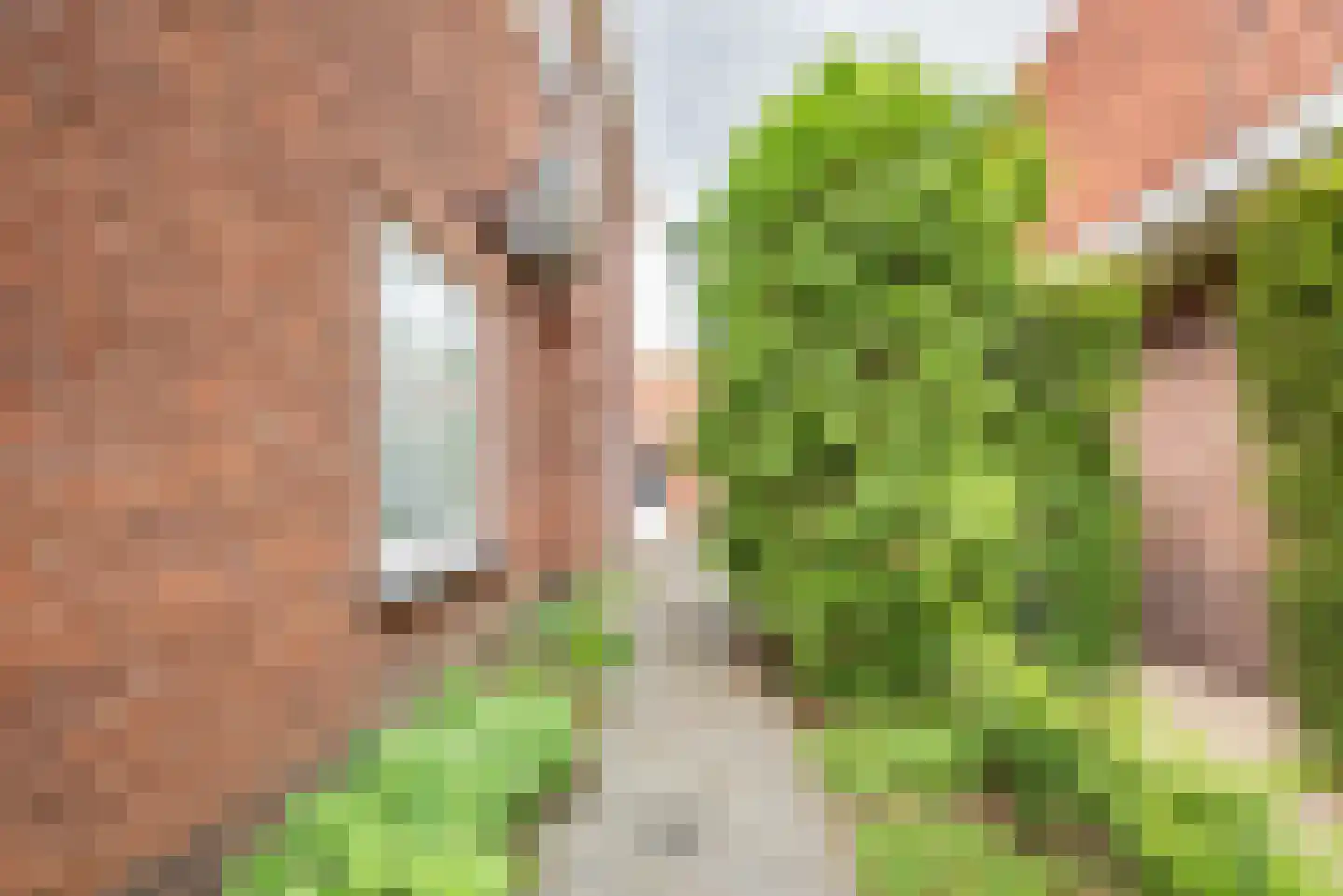 Doetinchemseweg 33 Terborg thumbnail 73