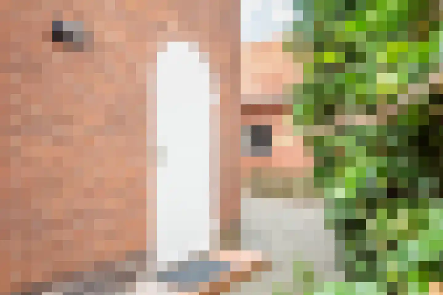 Doetinchemseweg 33 Terborg thumbnail 74