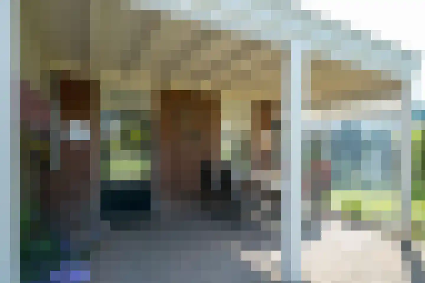 Doetinchemseweg 37 Varsseveld thumbnail 40