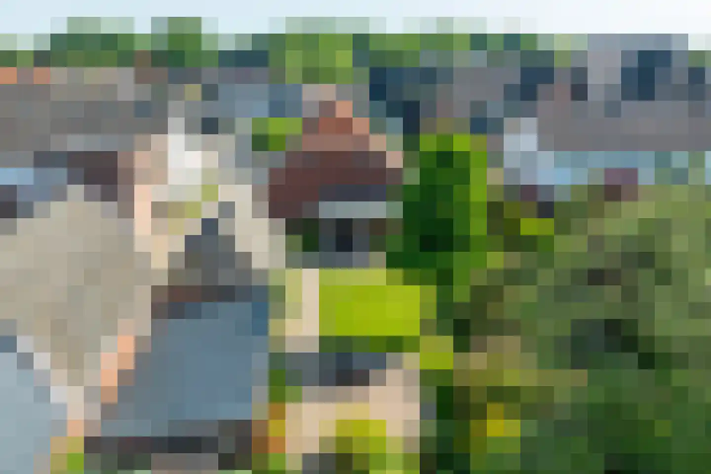 Doetinchemseweg 37 Varsseveld thumbnail 46
