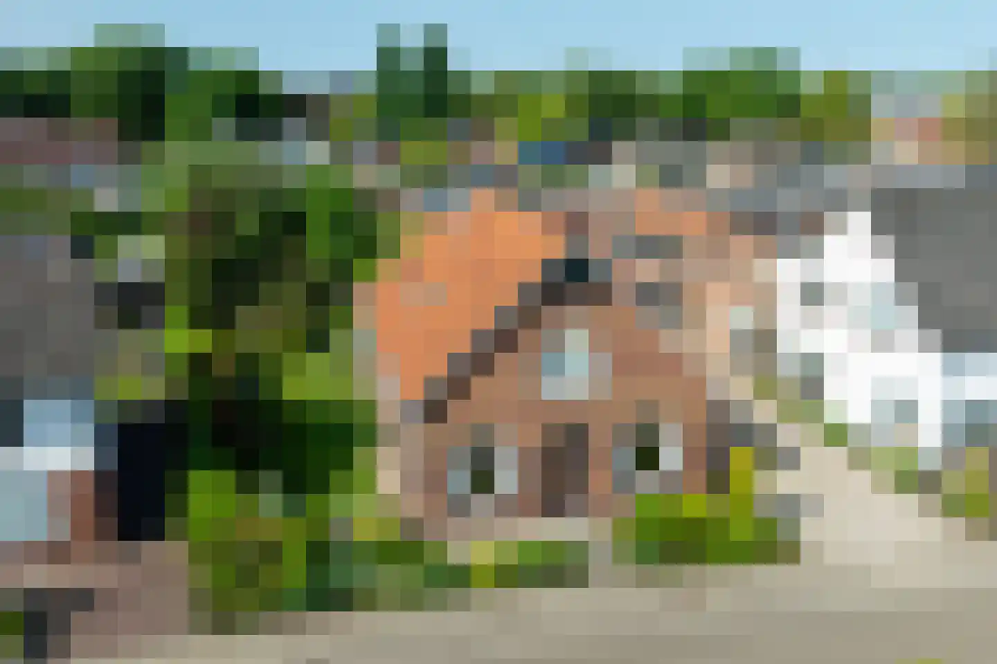 Doetinchemseweg 37 Varsseveld thumbnail 47