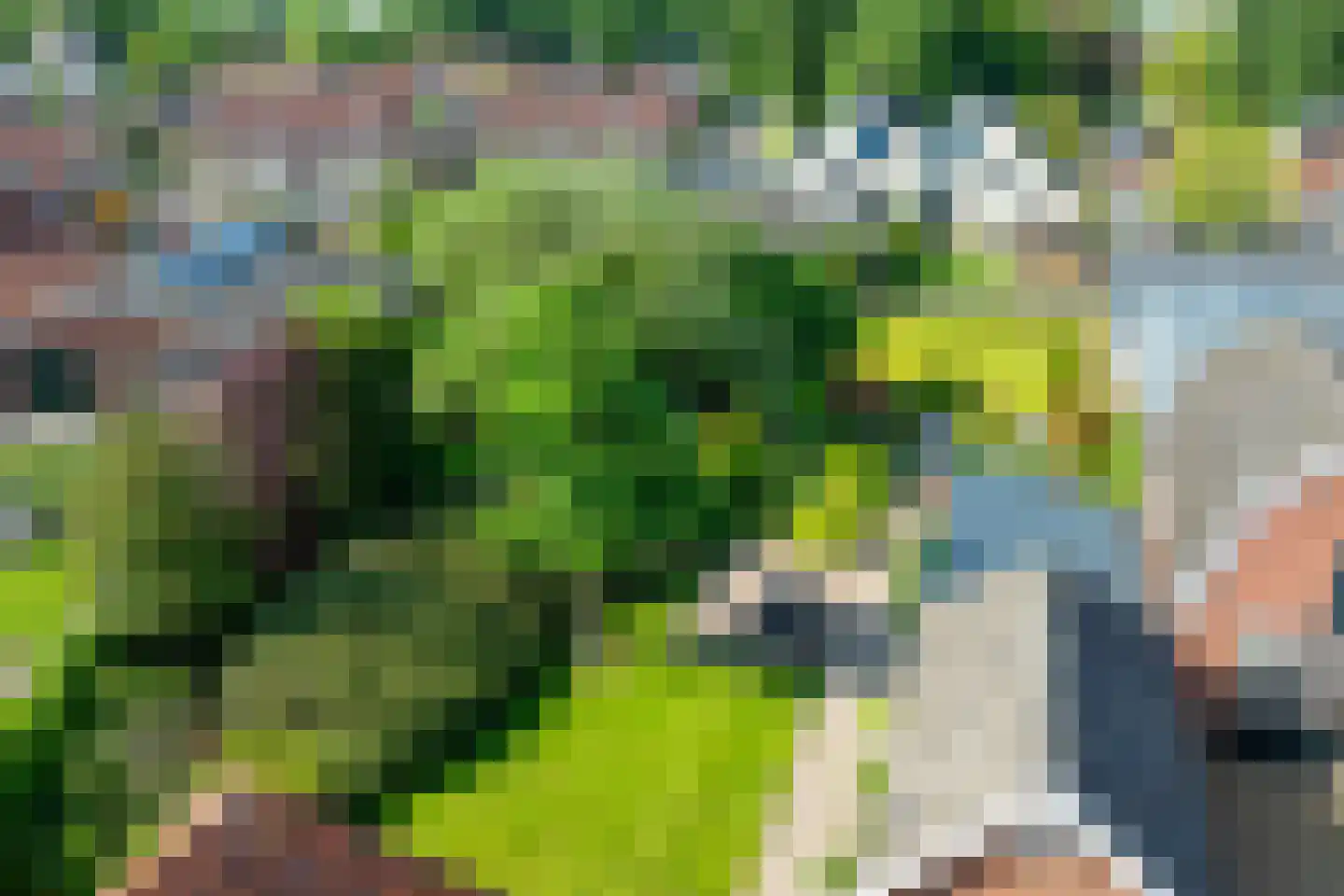 Doetinchemseweg 37 Varsseveld thumbnail 48
