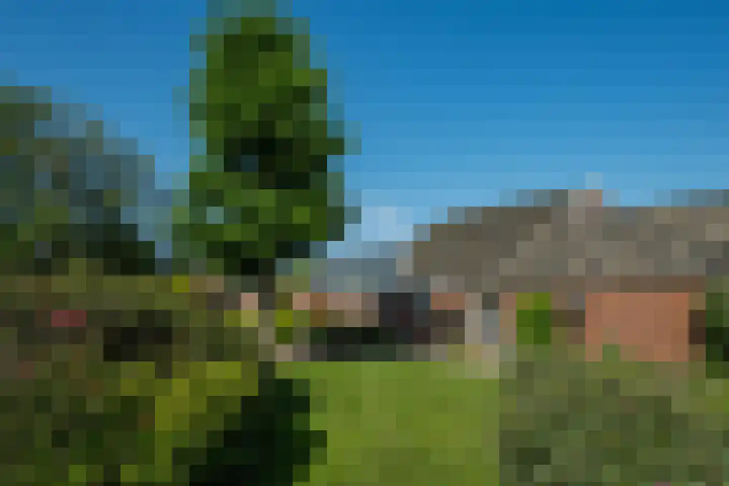 Doetinchemseweg 37 Varsseveld thumbnail 50