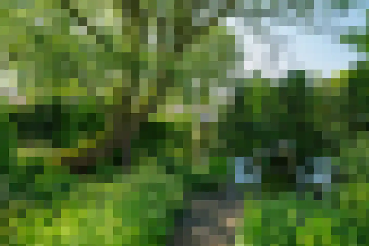 Doetinchemseweg 37 Varsseveld thumbnail 54
