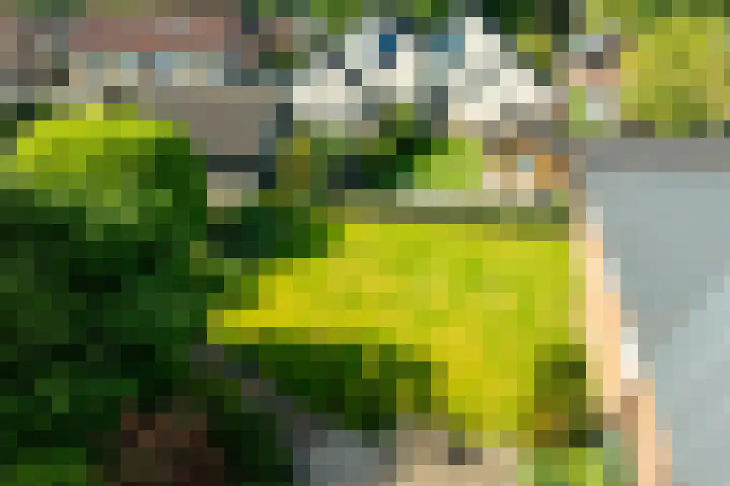 Doetinchemseweg 37 Varsseveld thumbnail 66