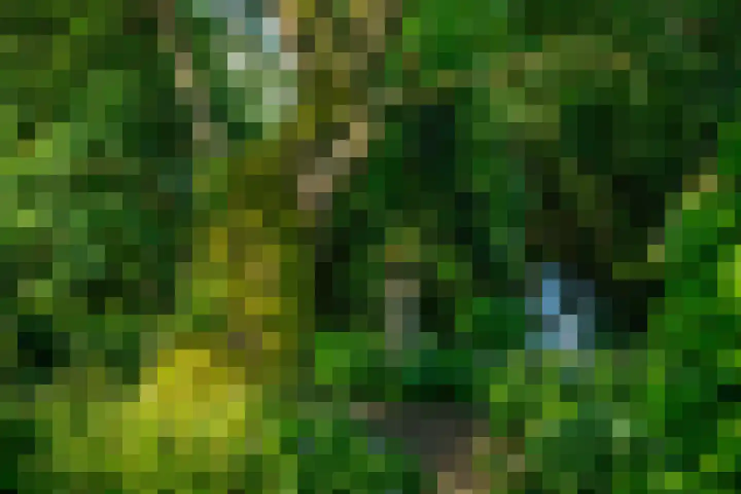 Doetinchemseweg 37 Varsseveld thumbnail 73
