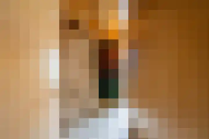 Doetinchemseweg 43 Terborg thumbnail 12