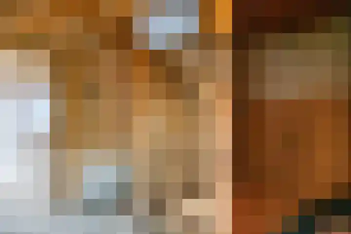 Doetinchemseweg 43 Terborg thumbnail 13