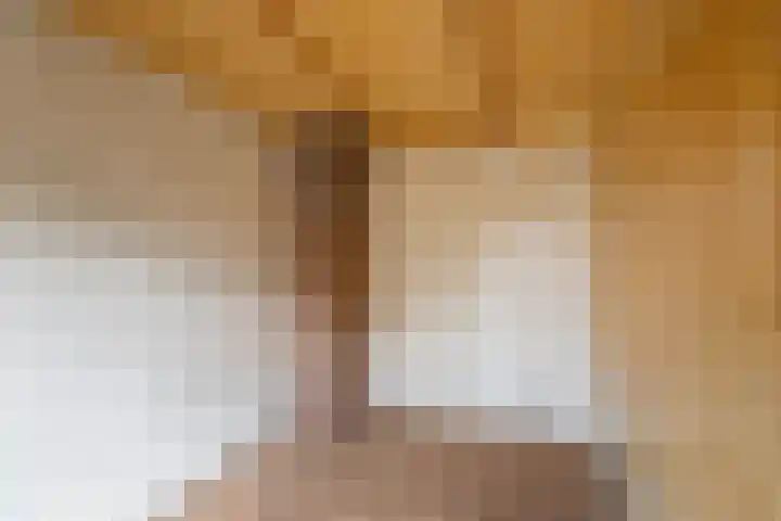Doetinchemseweg 43 Terborg thumbnail 15