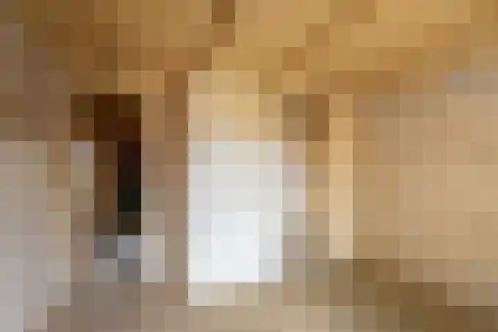 Doetinchemseweg 43 Terborg thumbnail 17