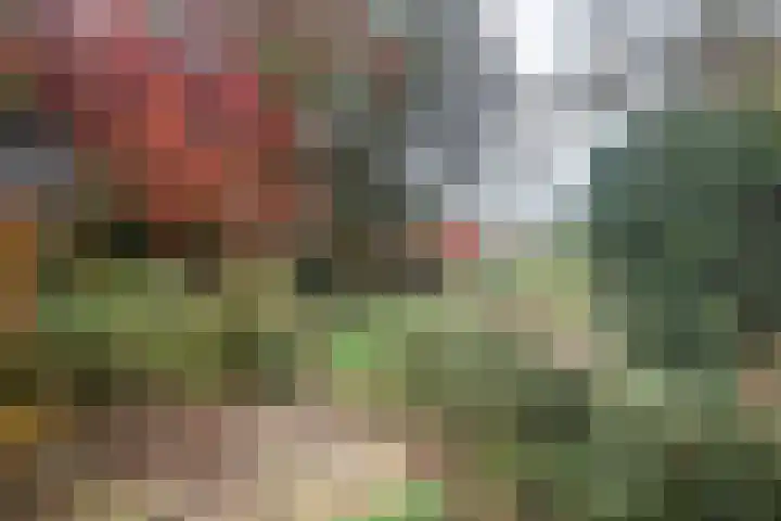 Doetinchemseweg 43 Terborg thumbnail 4