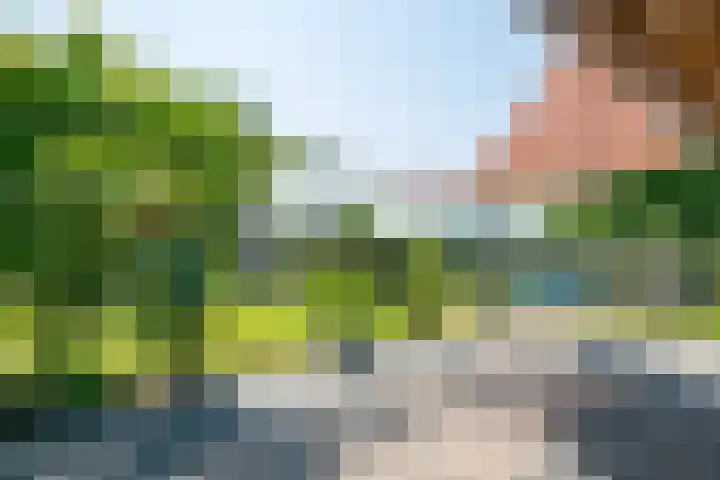 Doetinchemseweg 60 Wijnbergen thumbnail 12