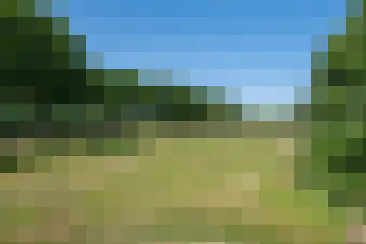Doetinchemseweg 60 Wijnbergen thumbnail 14