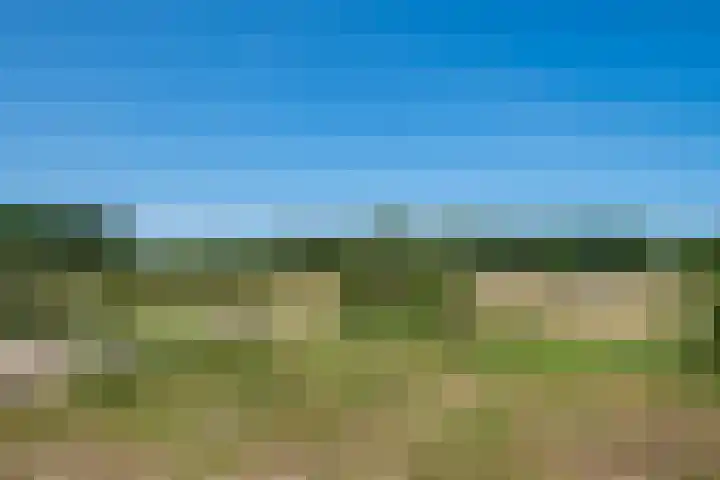 Doetinchemseweg 60 Wijnbergen thumbnail 19