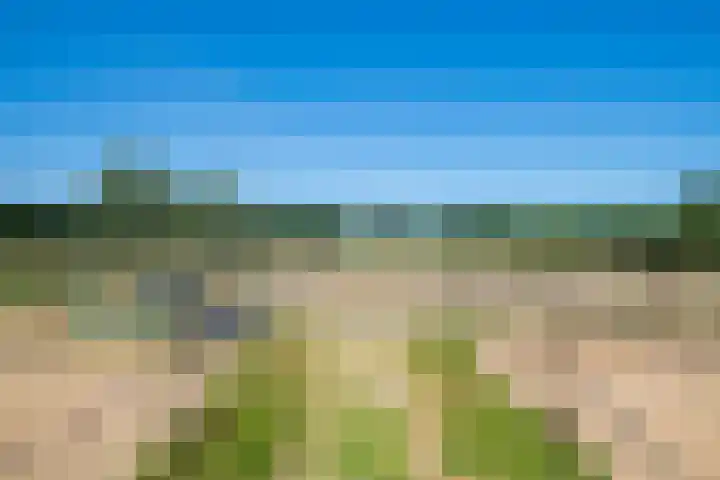 Doetinchemseweg 60 Wijnbergen thumbnail 22