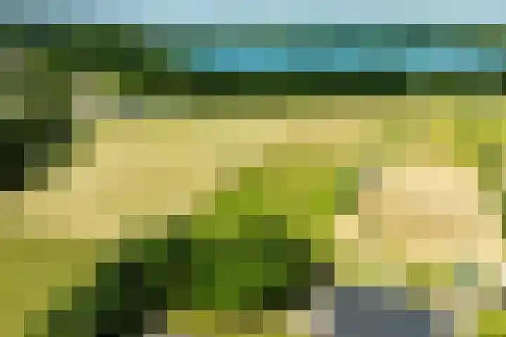Doetinchemseweg 60 Wijnbergen thumbnail 4