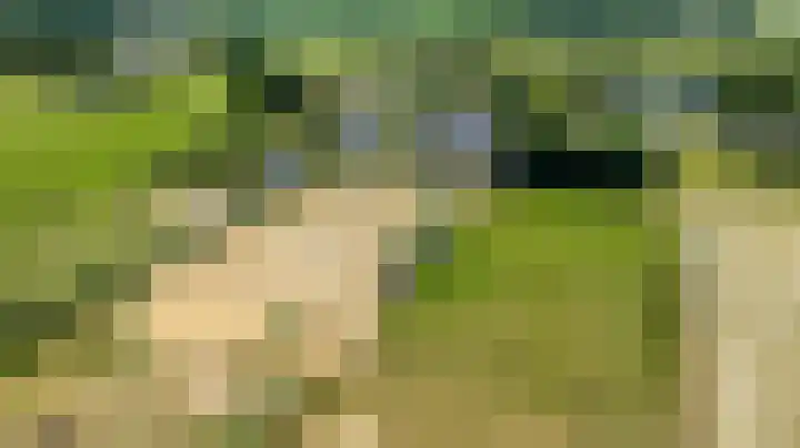 Doetinchemseweg 60 Wijnbergen thumbnail 6