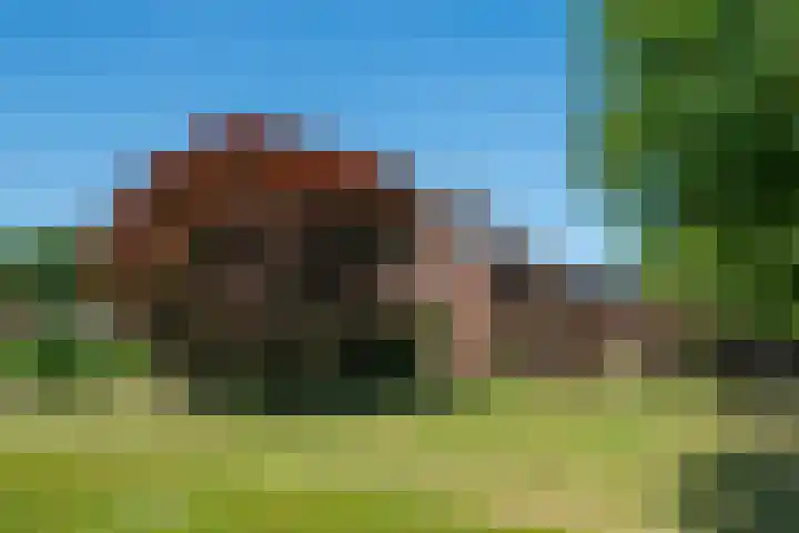 Doetinchemseweg 60 Wijnbergen thumbnail 7