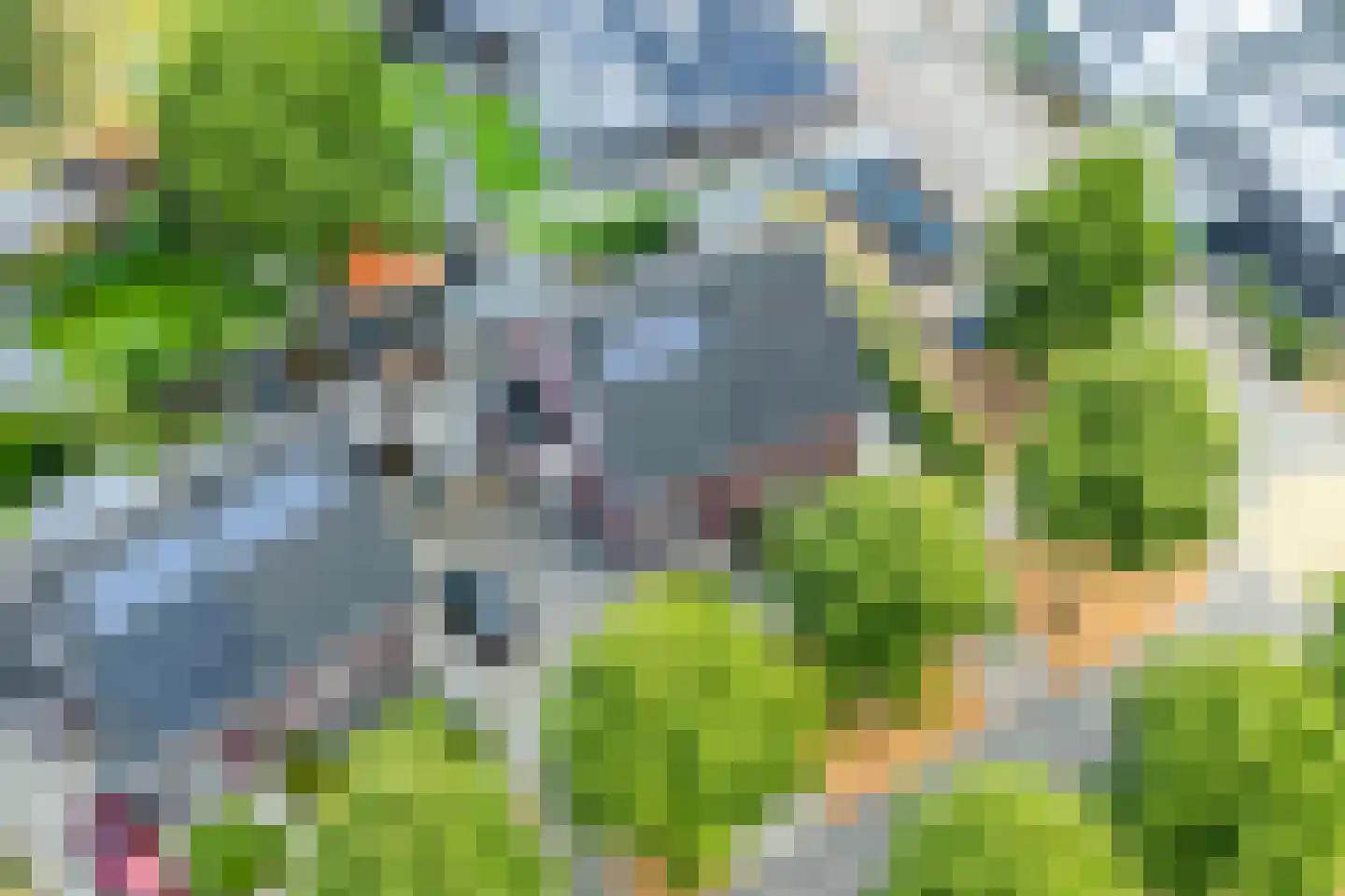 Doetinchemseweg 7 C Wehl thumbnail 40