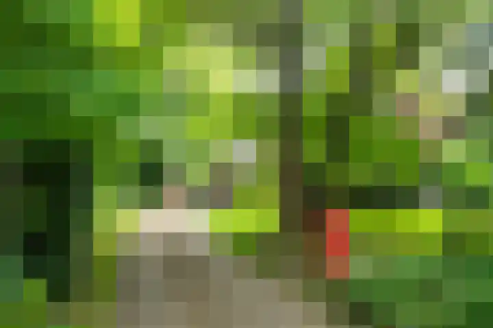 Doetinchemseweg 72 Zelhem thumbnail 10